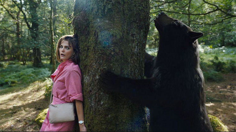 concaine-bear