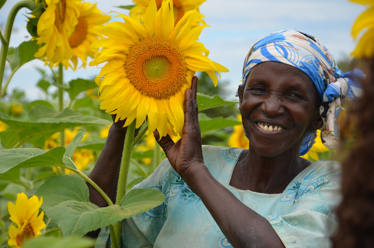 Can“precision fermentation” microbes feed Africans? I think not!