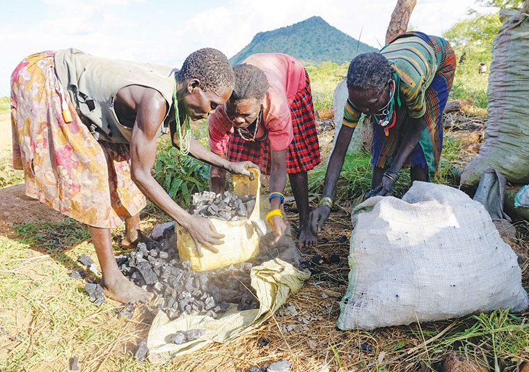 Charcoal crisis hits Kampala