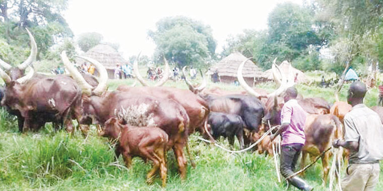 ‘Balaalo’ question & the myth of Uganda