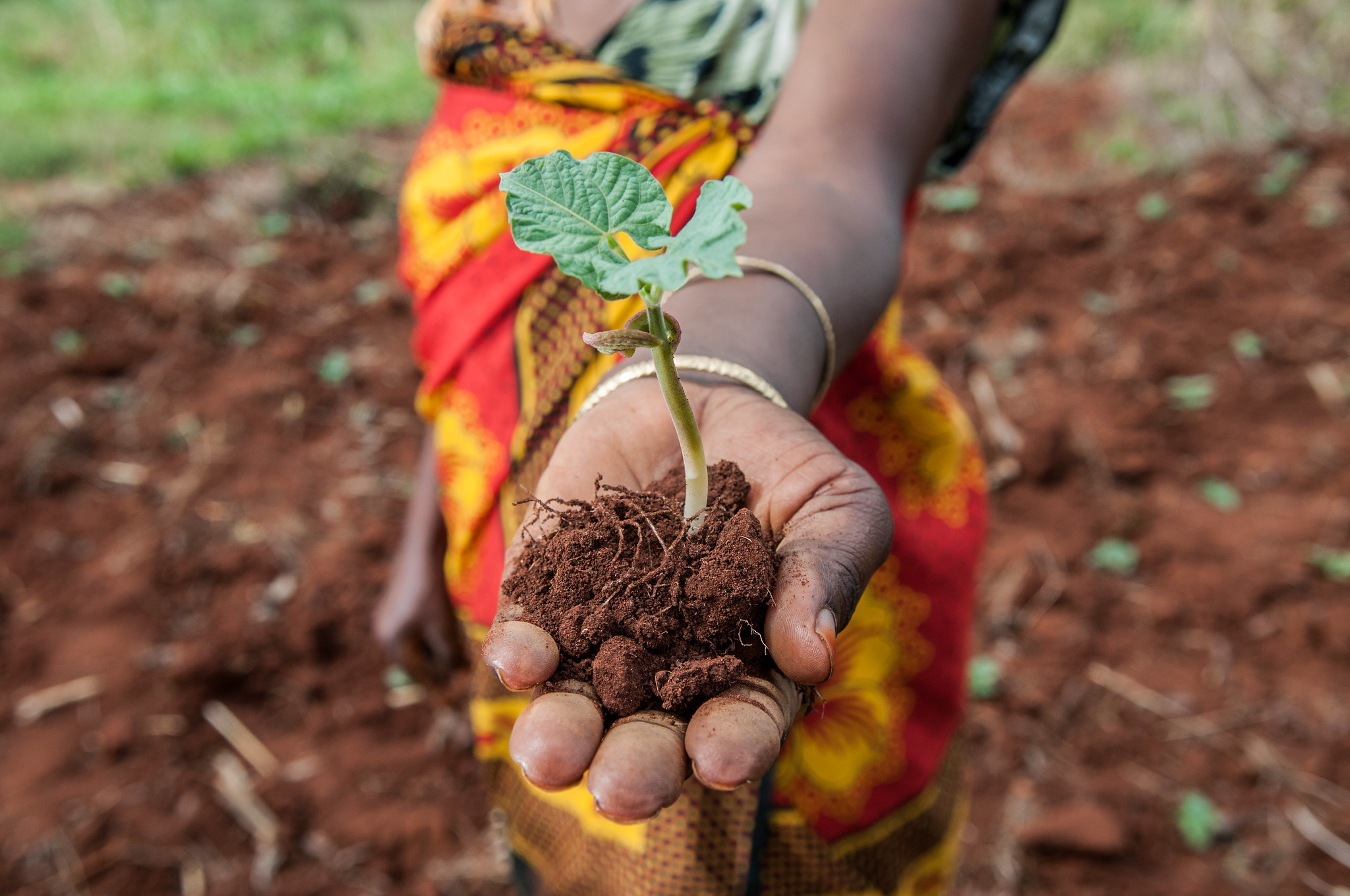 Tanzania smart agriculture initiatives combat climate change 1 smart agriculture
