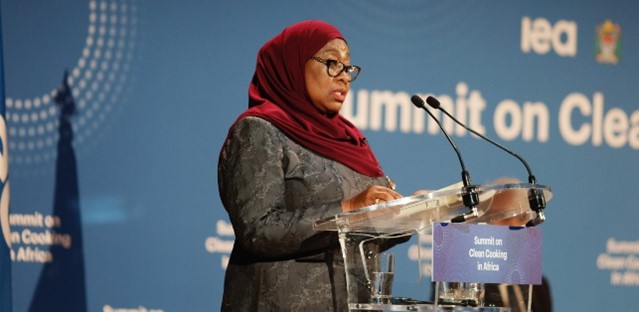 AfDB commits $2 billion to revolutionise clean cooking in Africa, save forests 1 AfDB 4