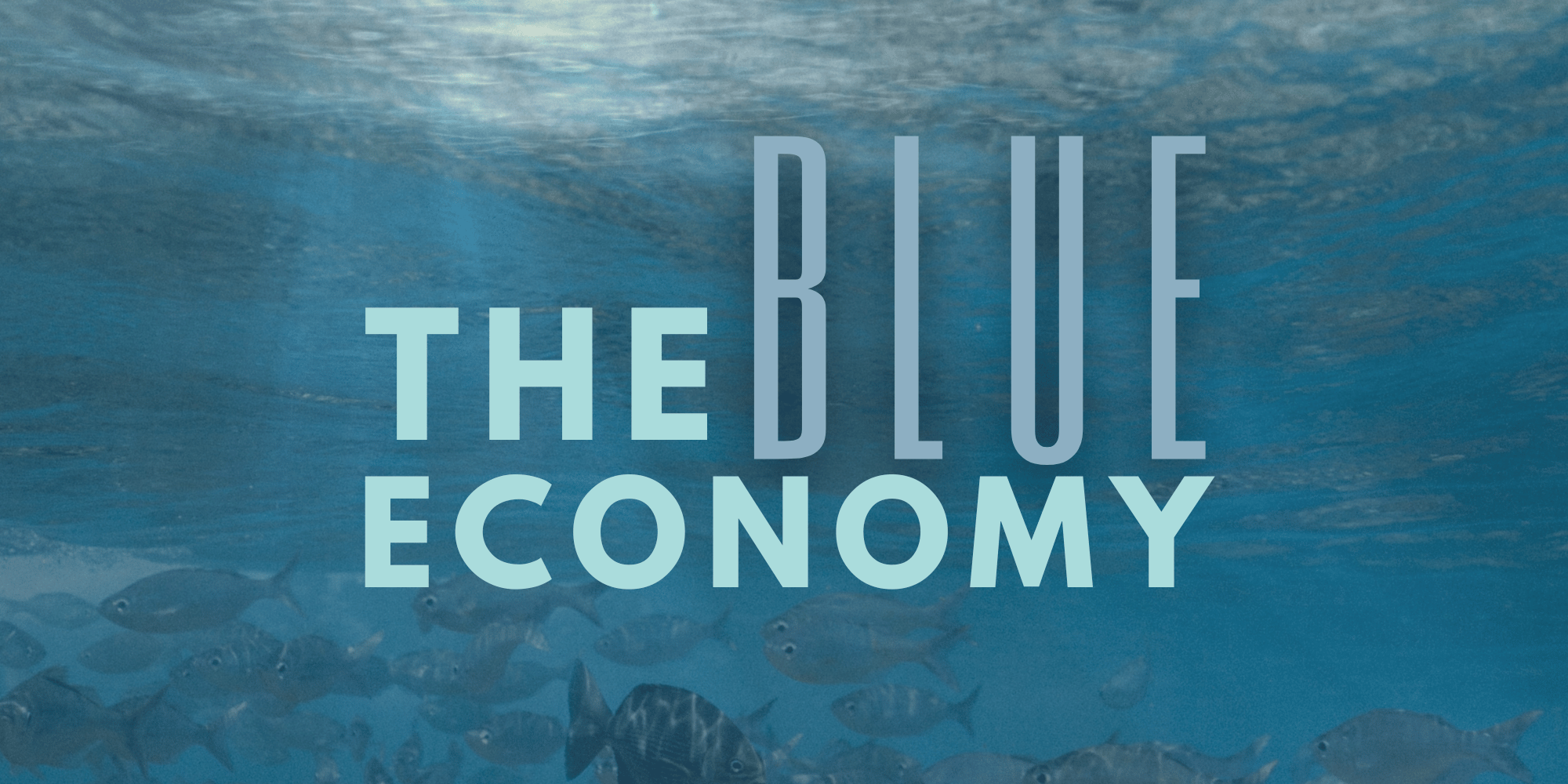 Kenya’s Marine Potential: Fostering Sustainable Blue Economy