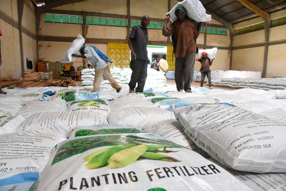 Africa's food security