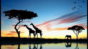 Tourism Sector in Africa: Lasting Optimism 2 tourism sector