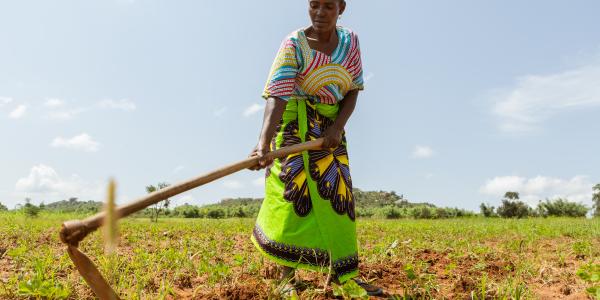 Climate change crisis calls for women agro-empowerment 1 Climate change