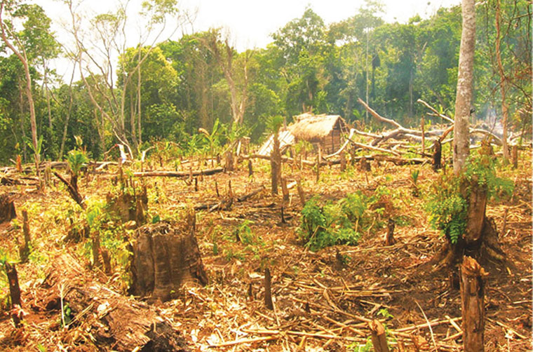 Restoring our land: a call to action for climate resilience