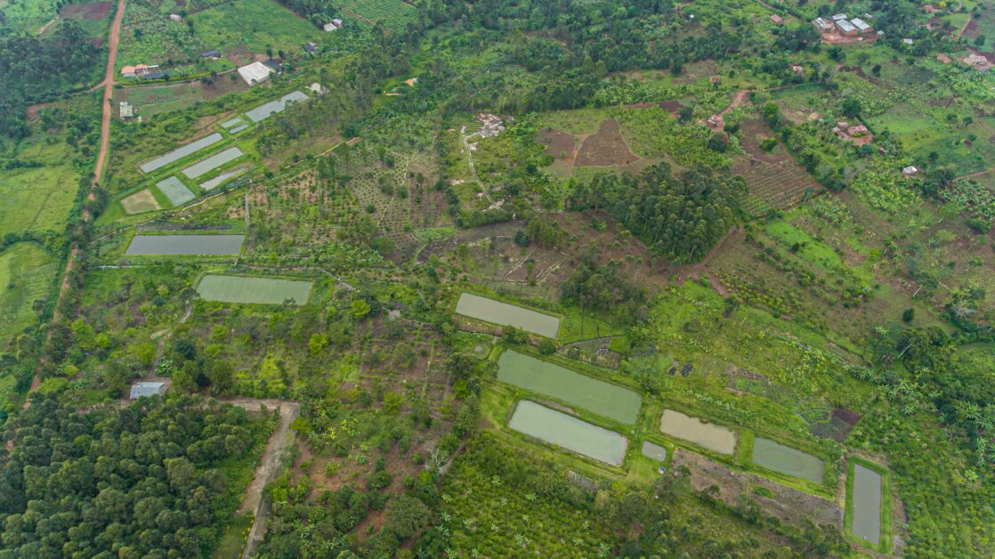 dji_0013-1118x628-1