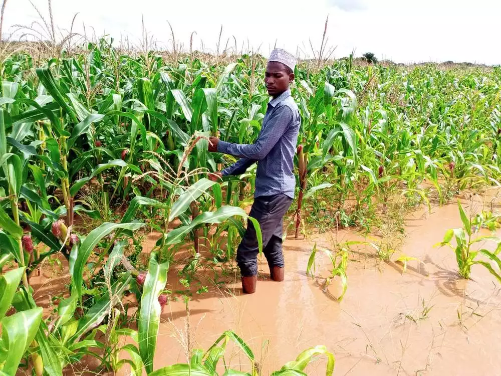 Africa’s $100 billion blueprint to firm up food security systems