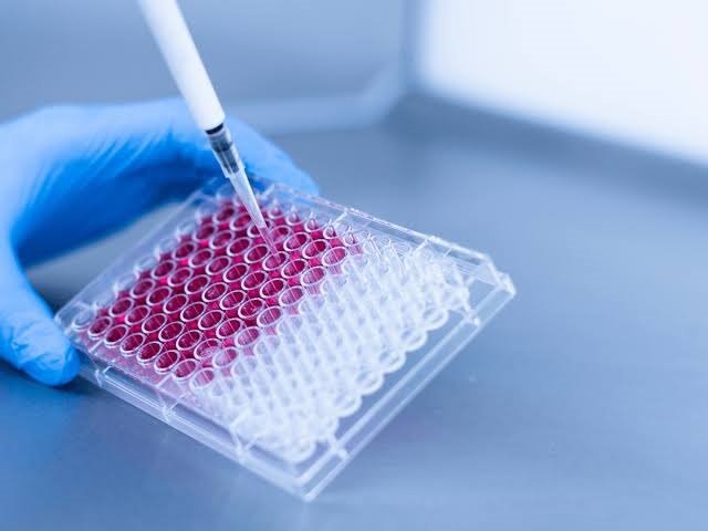 Nigeria launches national cancer biobank network in push to close precision medicine gap